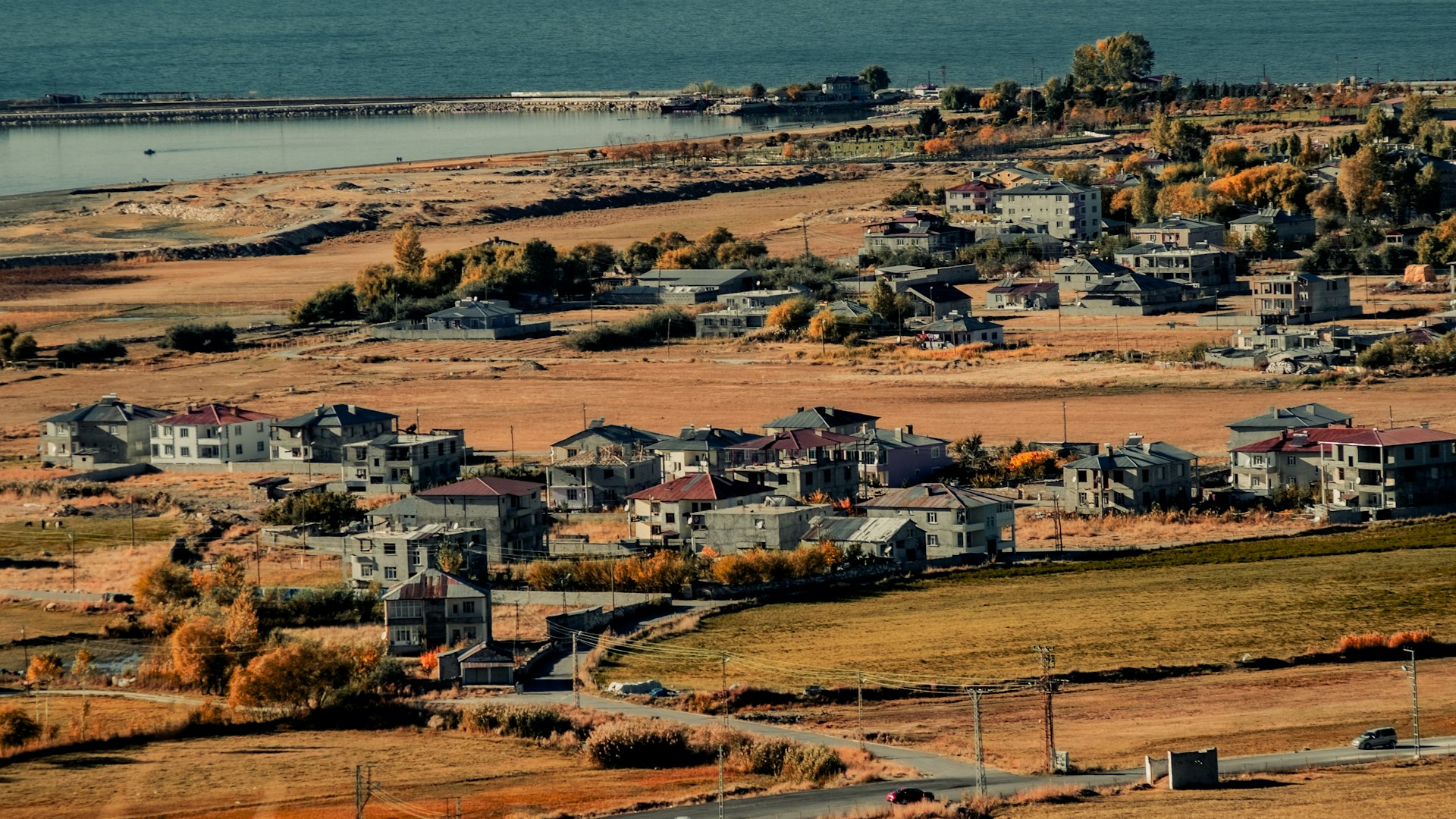 brown and green grass field near body of water during daytime